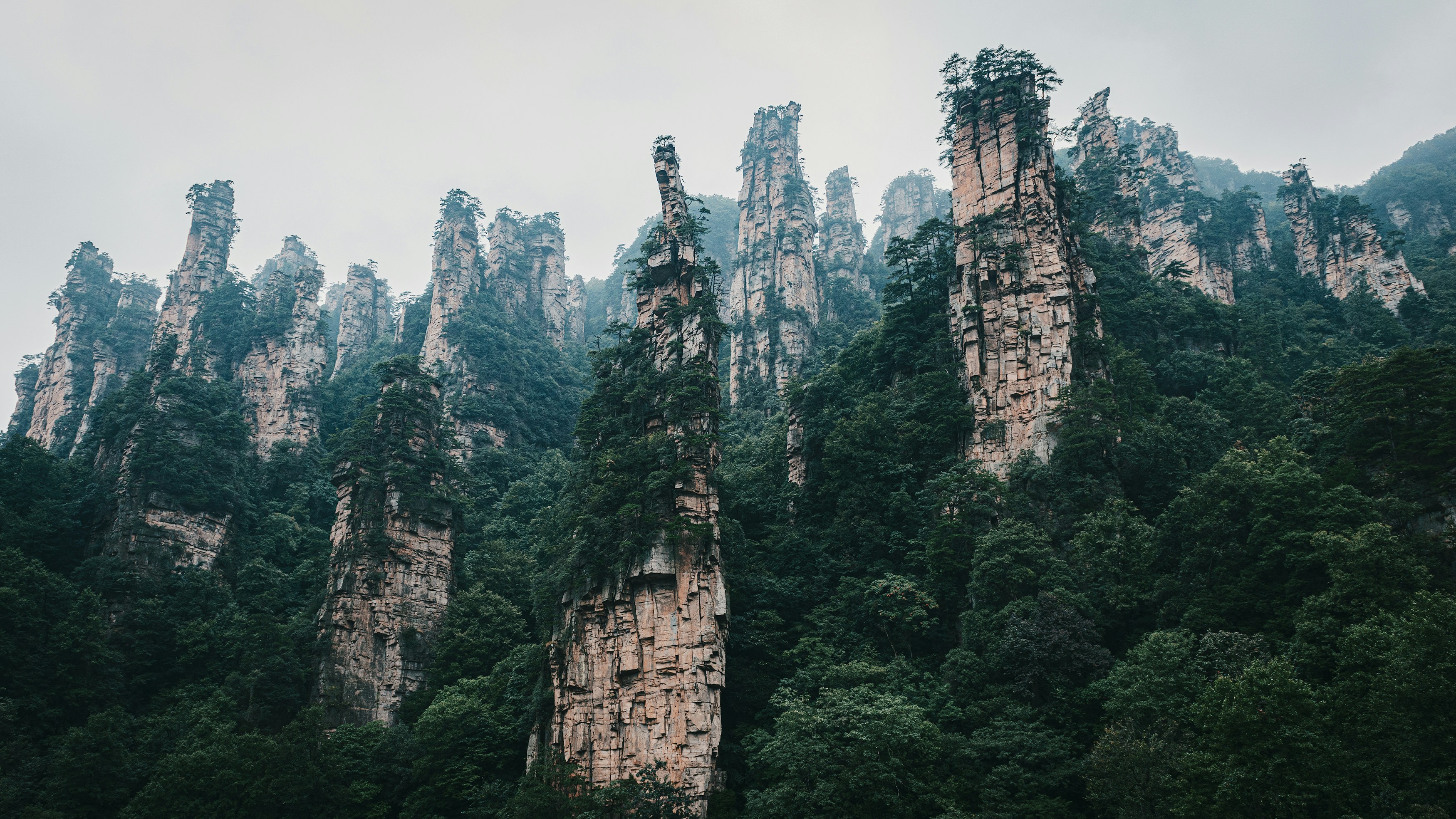 Image of Layla Ahmed