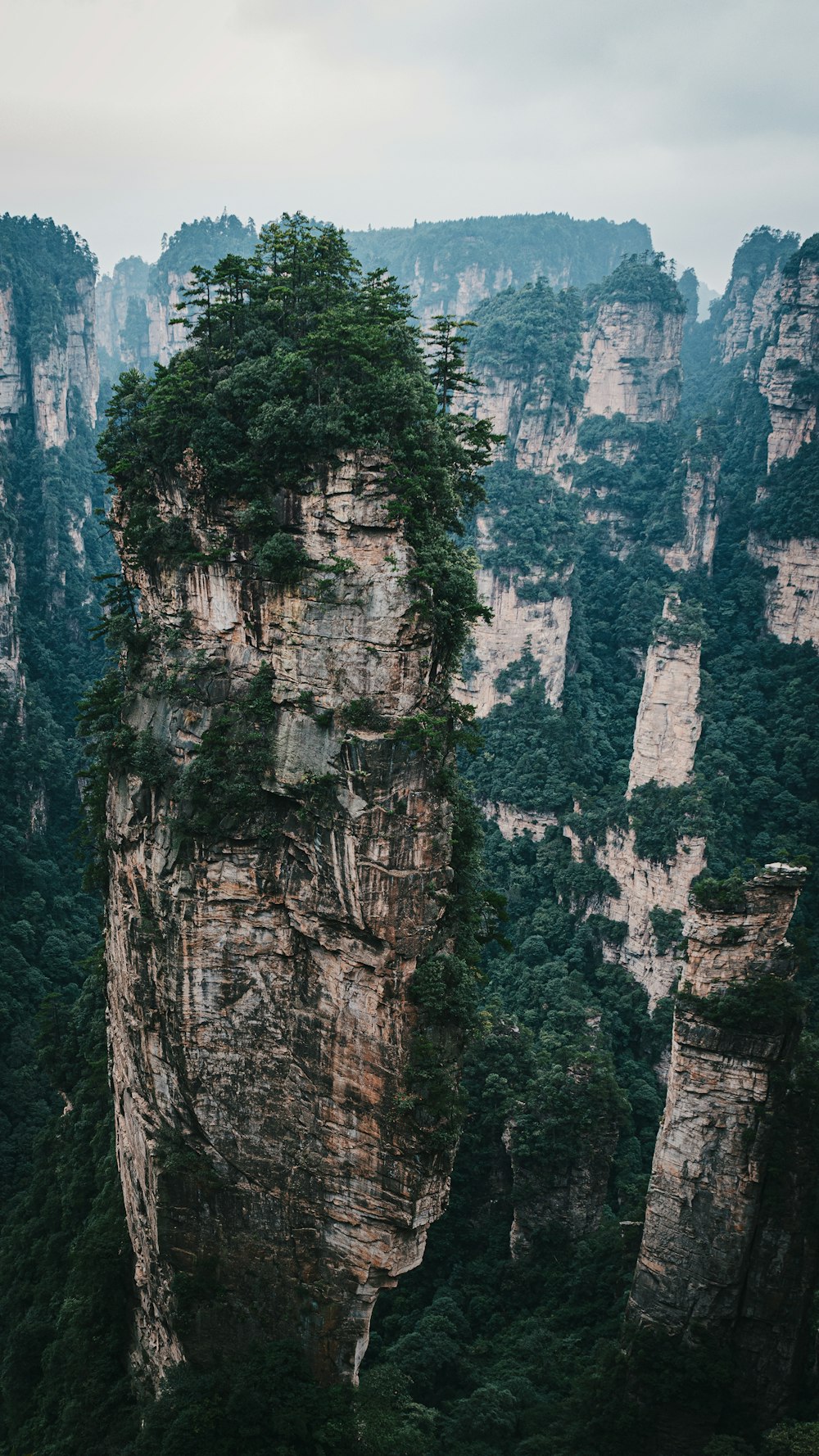 a large rock formation in the middle of a forest