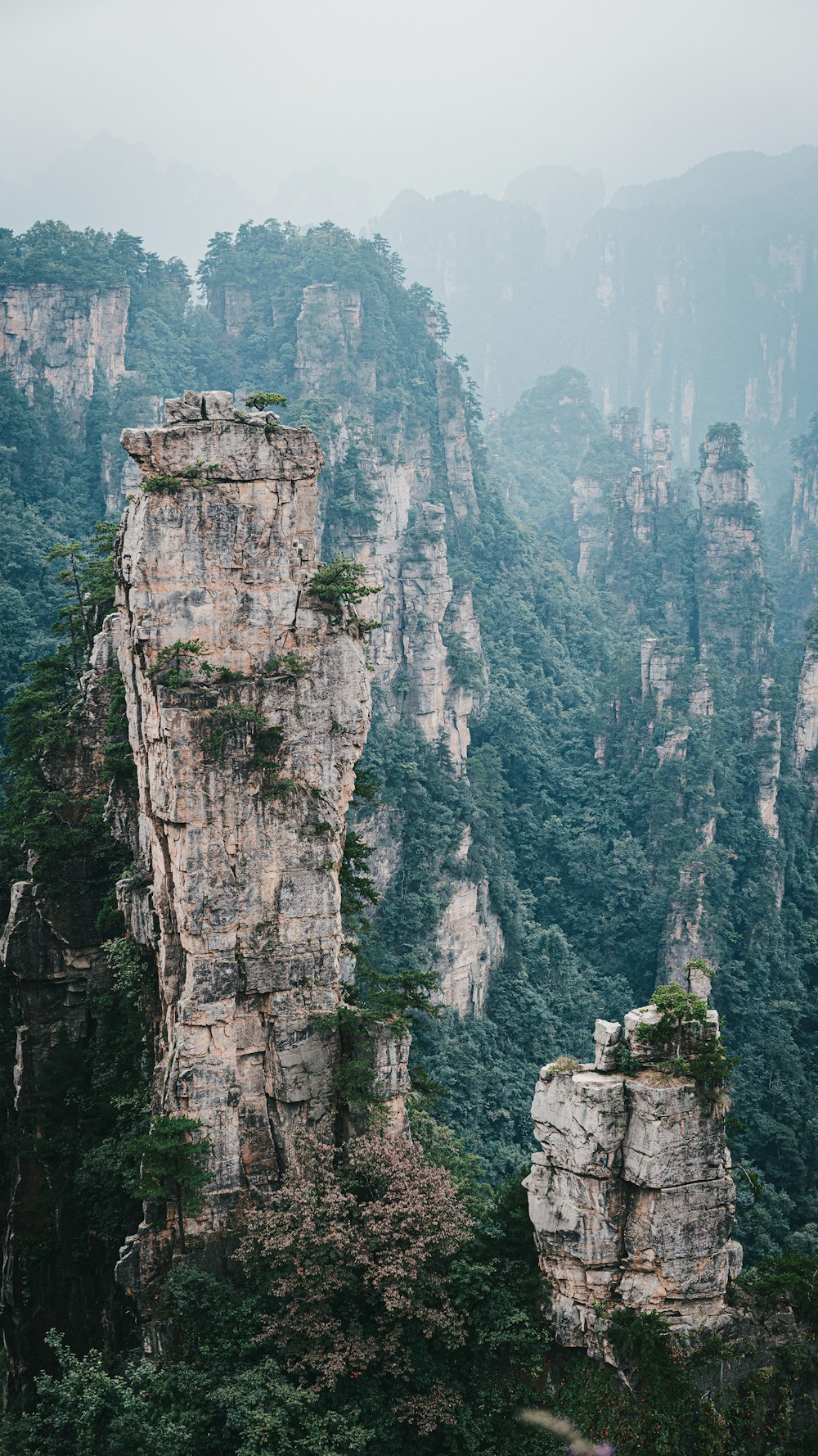 a canyon with a mountain in the background