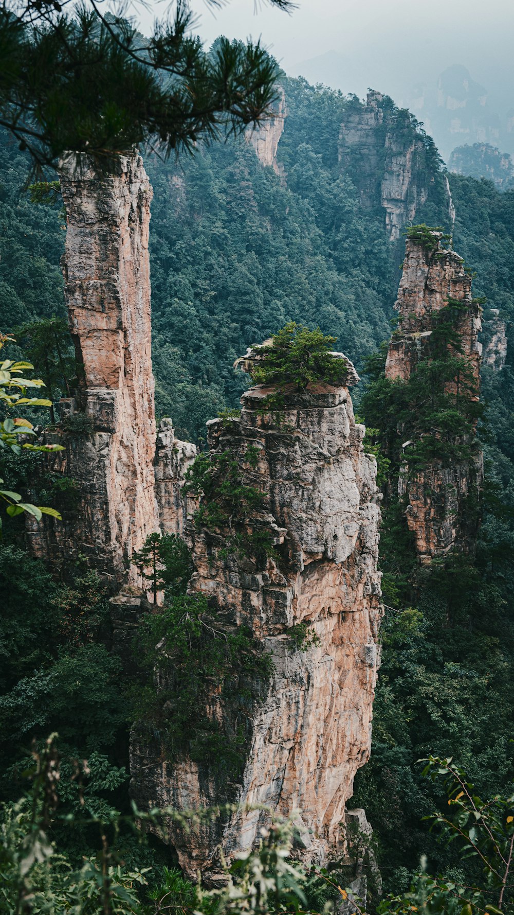 a couple of tall rocks sitting in the middle of a forest