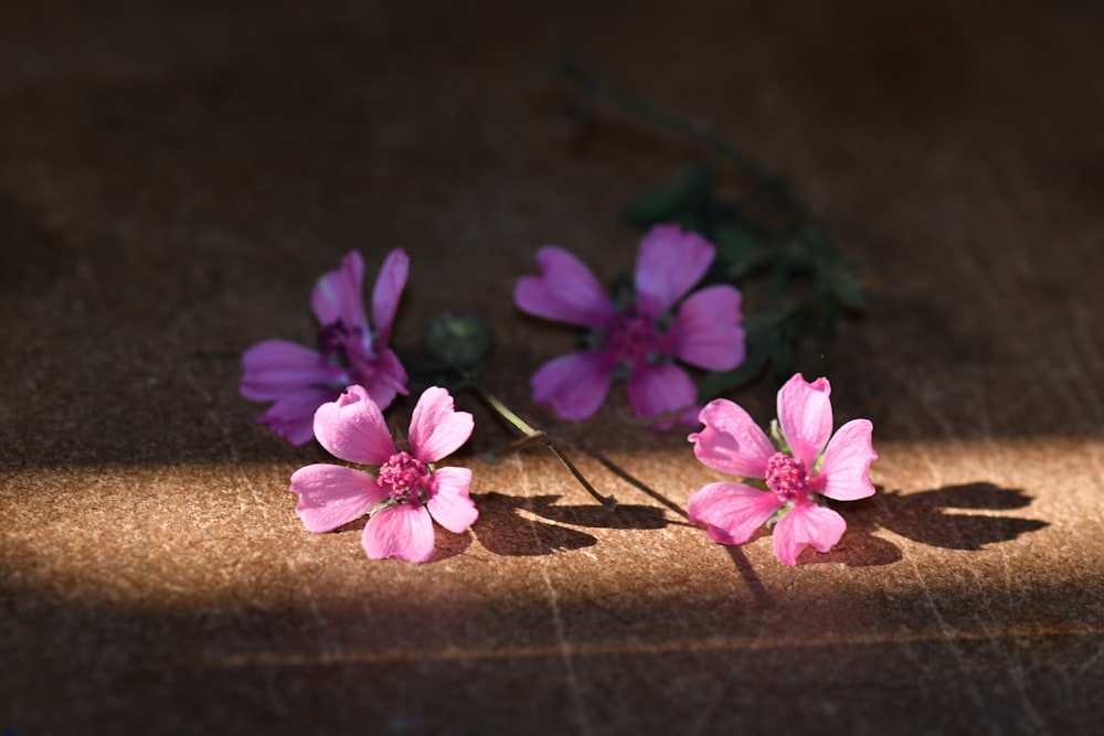 a group of pink flowers sitting on top of a wooden table