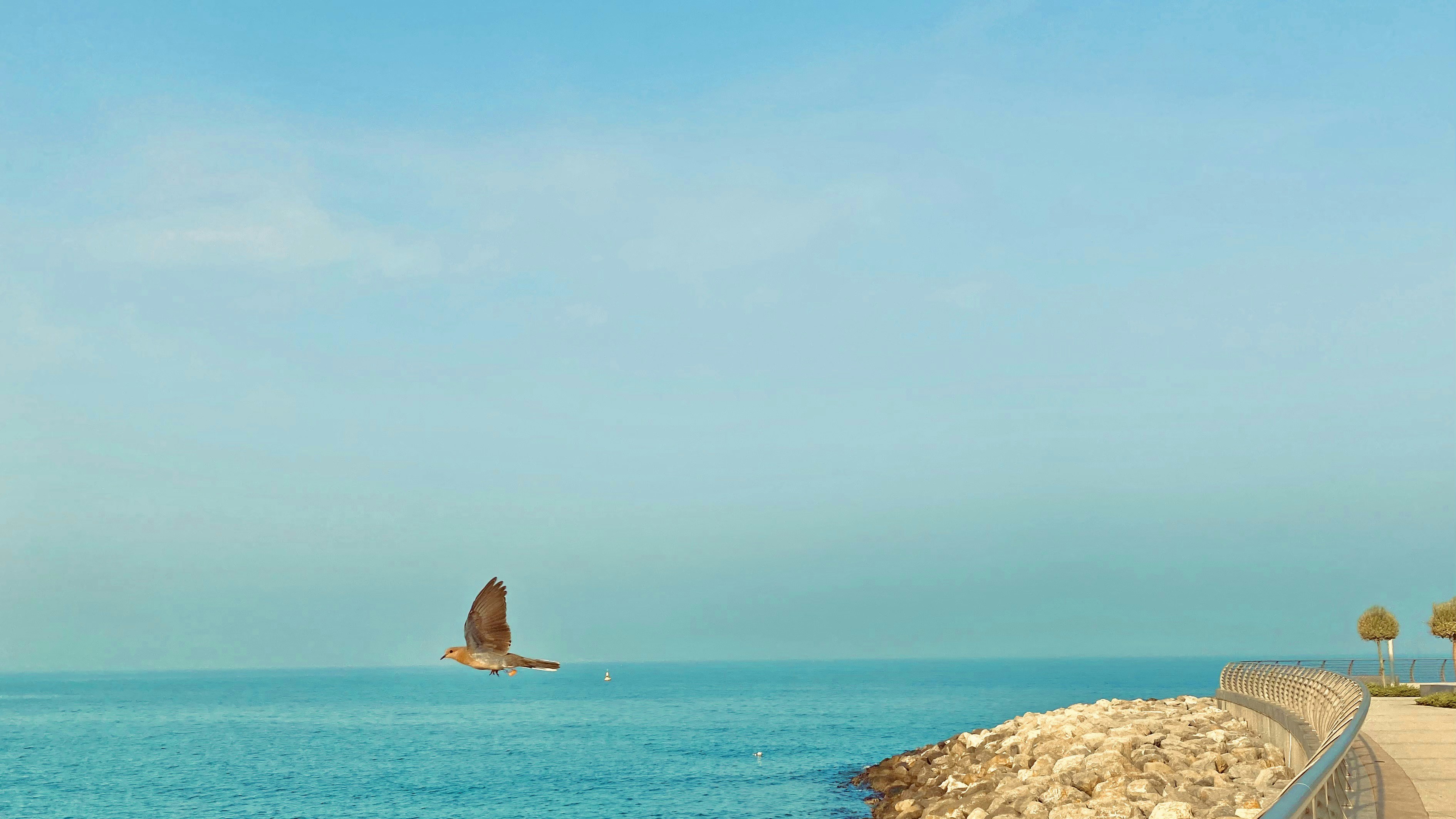 Photo by your_scorpion