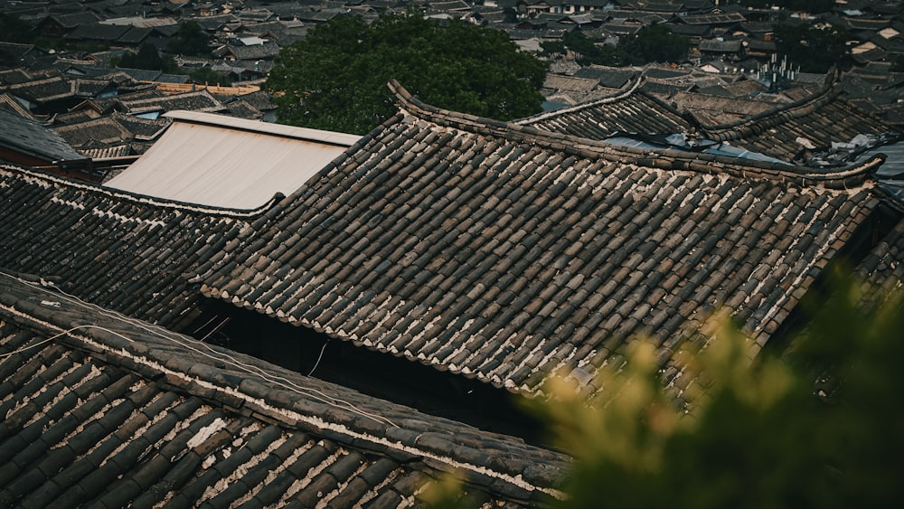 the roof of a building