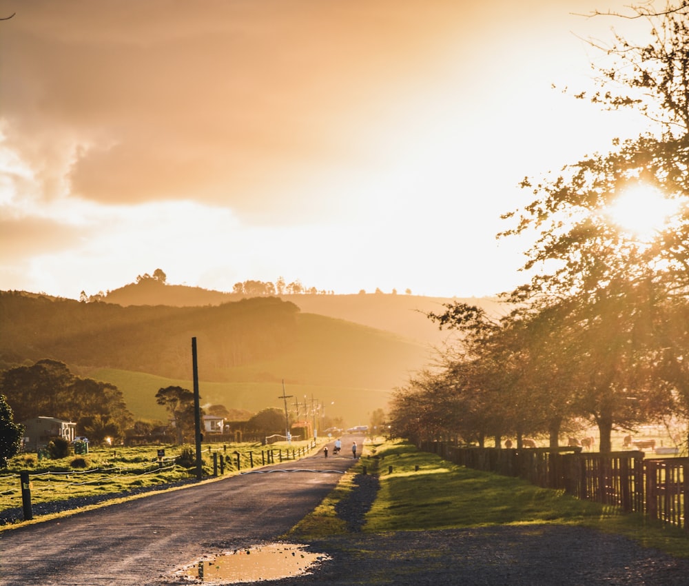 the sun shines brightly on a rural road