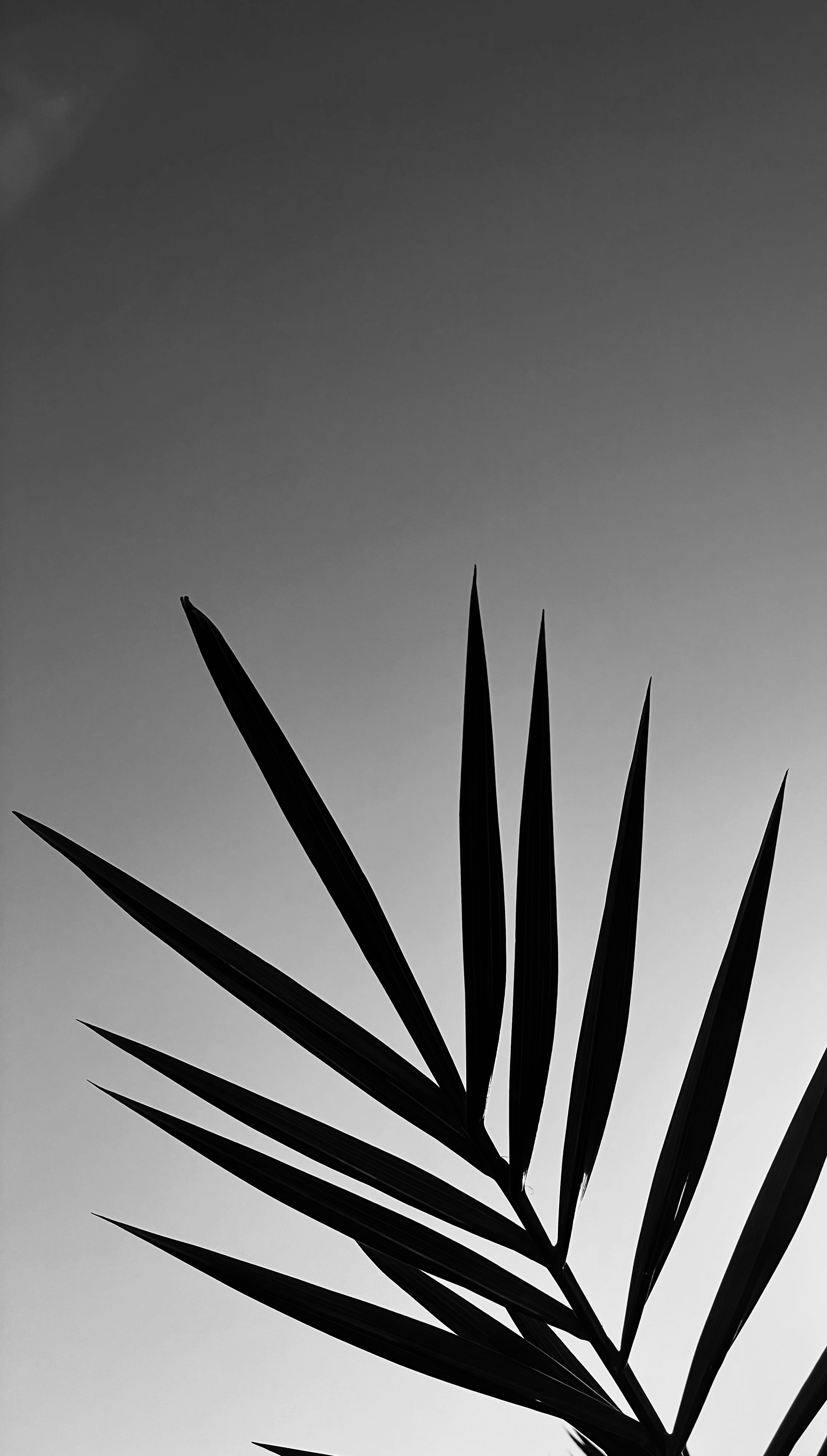 Photo by allensamthomas