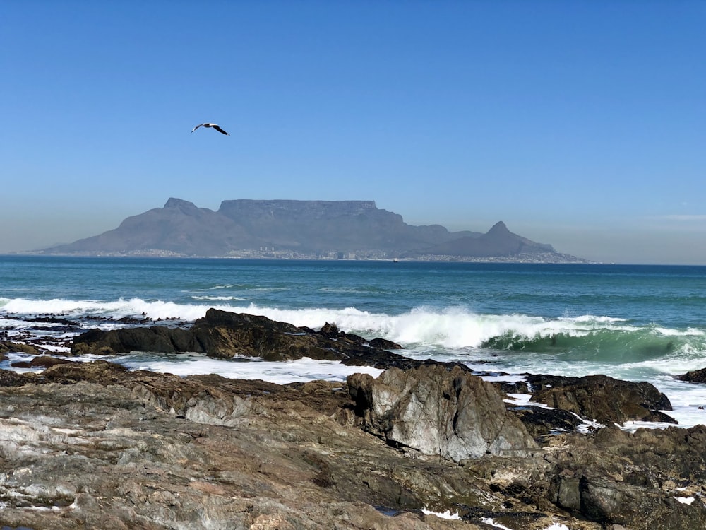 a bird flying over the ocean with a mountain in the background