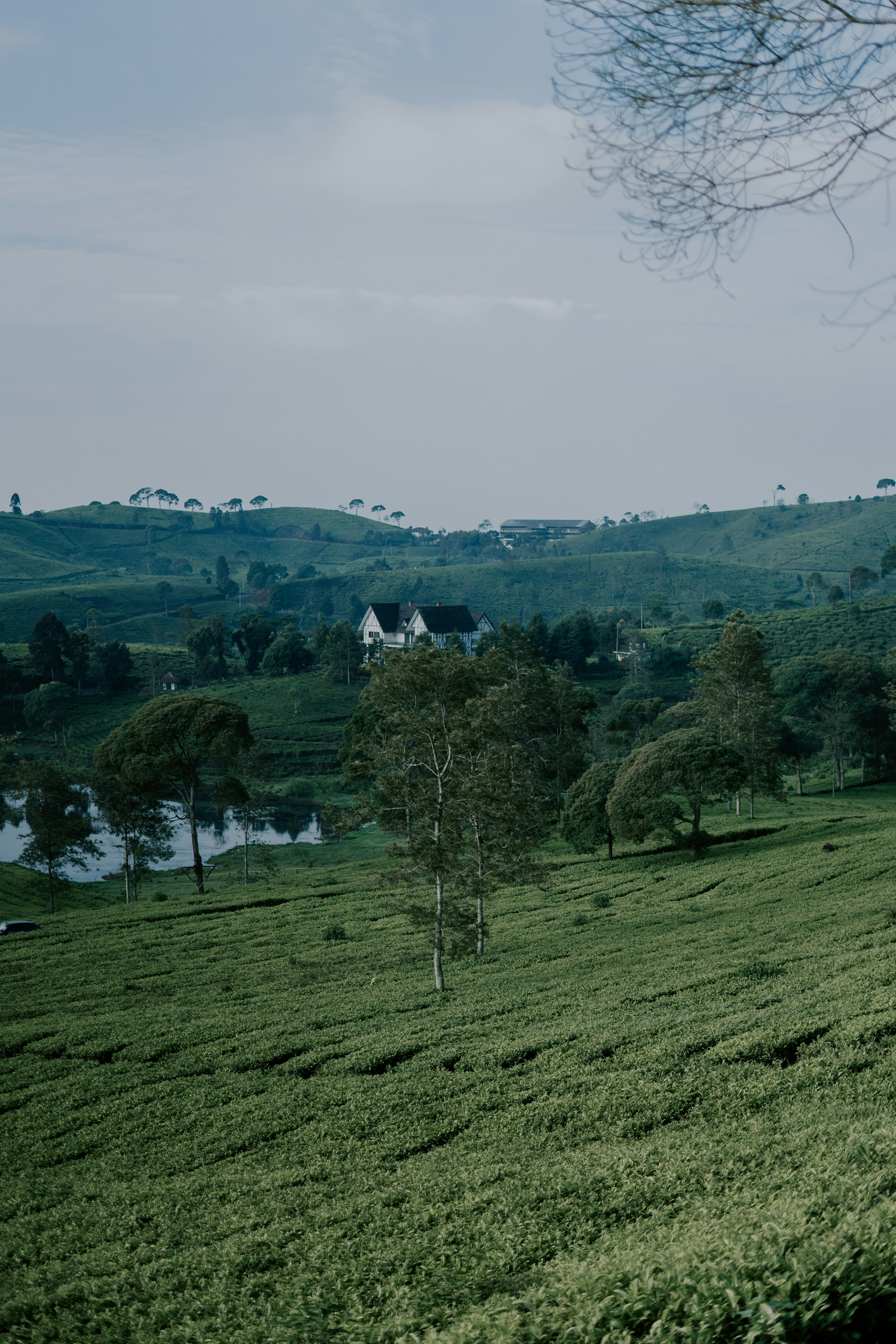 a grassy field with a house in the distance