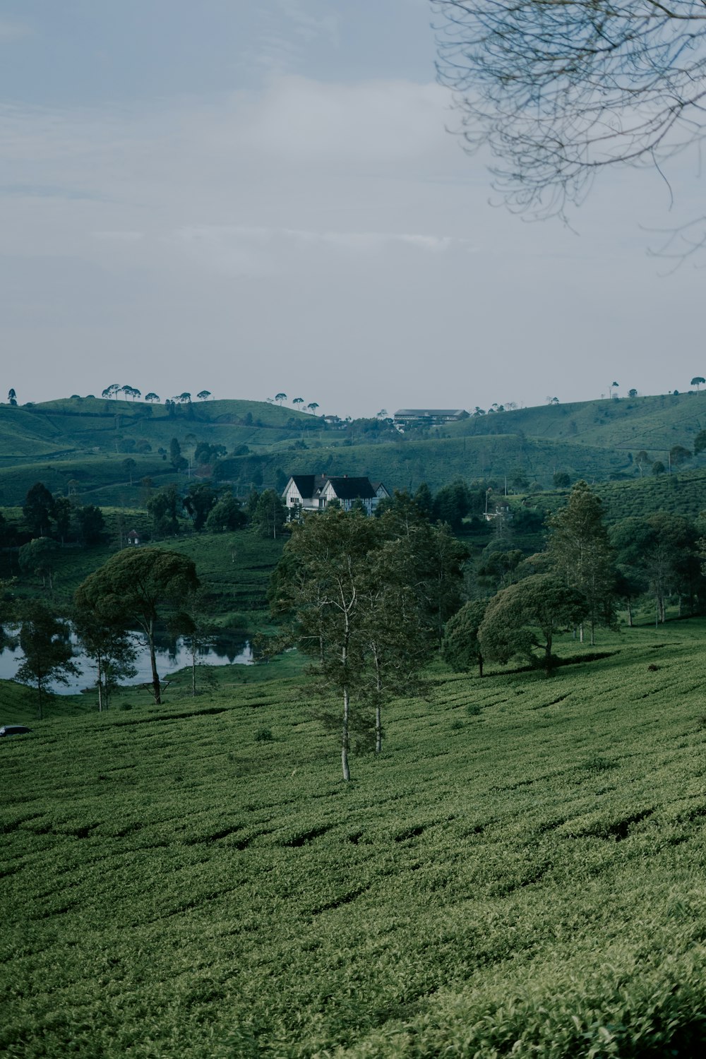 a grassy field with a house in the distance