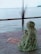 a woman sitting on a wooden deck next to a body of water