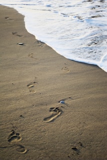 a person walking along a beach next to the ocean