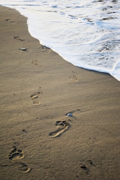 a person walking along a beach next to the ocean