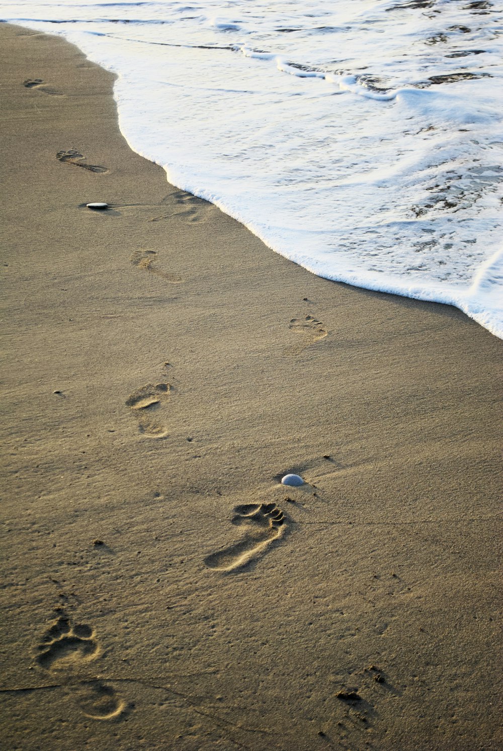 a person walking along a beach next to the ocean