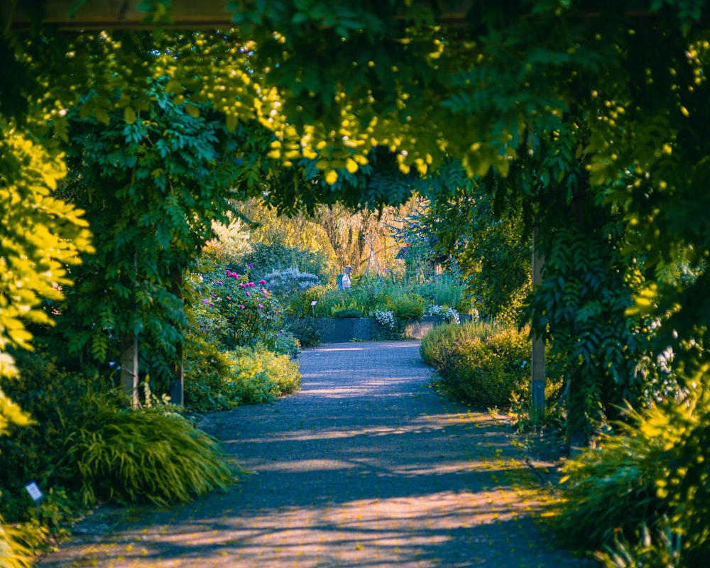 a path through a lush green forest filled with flowers