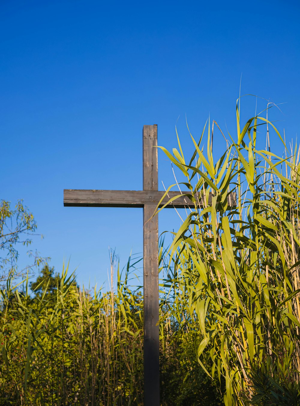 a wooden cross sitting in the middle of a field
