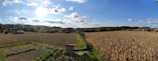 Prefab poultry farm building surrounded by green fields on a sunny day.