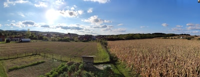 A vast, sunny rural landscape features an expansive field of corn on the right and a grassy, fenced area on the left, with a small shed. The background includes distant hills and a cluster of buildings under a clear blue sky with scattered clouds.