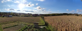 A vast, sunny rural landscape features an expansive field of corn on the right and a grassy, fenced area on the left, with a small shed. The background includes distant hills and a cluster of buildings under a clear blue sky with scattered clouds.