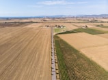 An aerial view of vast agricultural fields stretching to the horizon. The landscape is divided into several sections with different types of crops, flanked by a long, straight road lined with trees. In the distance, industrial buildings and mountains can be seen under a clear blue sky.