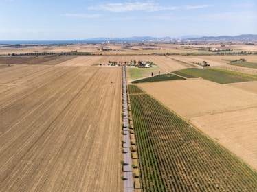 An aerial view of vast agricultural fields stretching to the horizon. The landscape is divided into several sections with different types of crops, flanked by a long, straight road lined with trees. In the distance, industrial buildings and mountains can be seen under a clear blue sky.