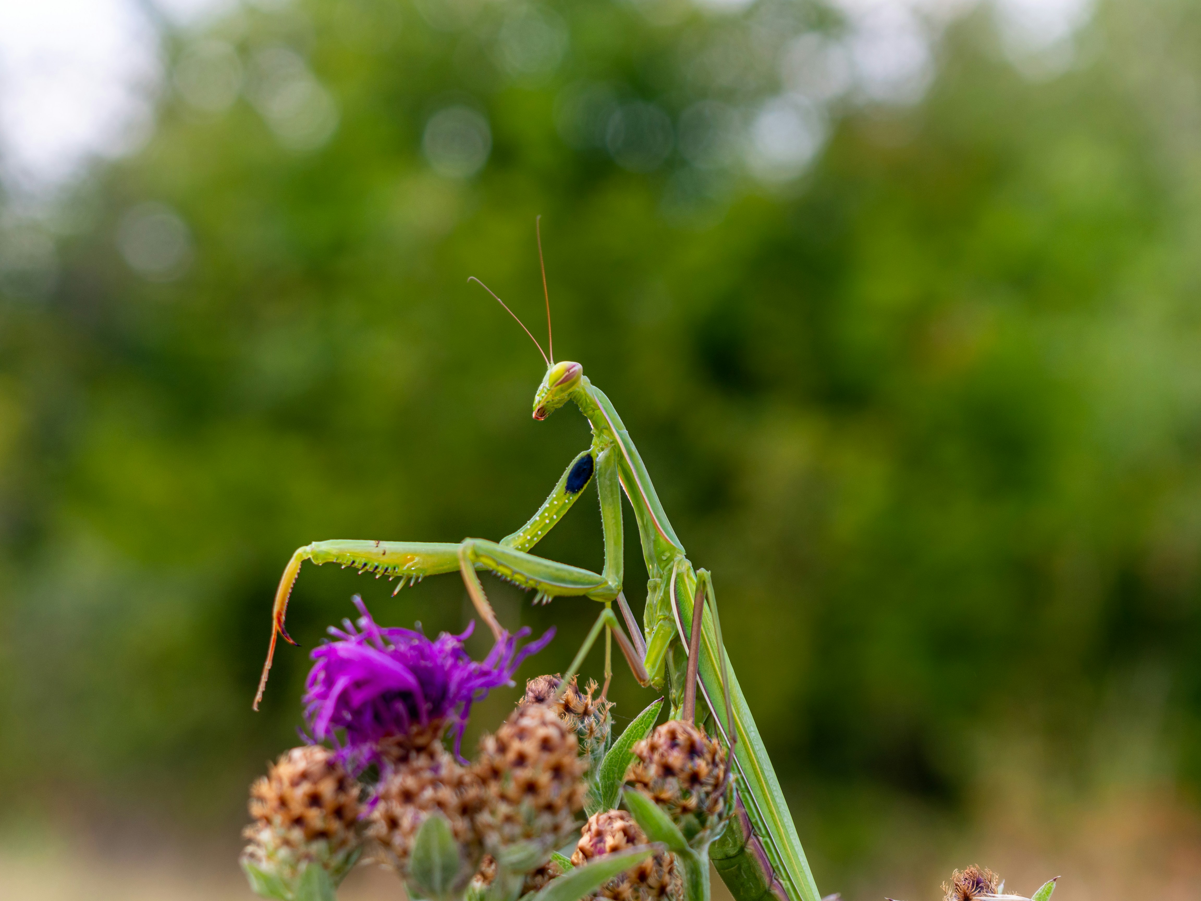 Photo by bcdphotos