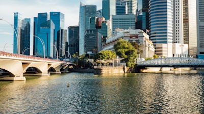 a large body of water surrounded by tall buildings