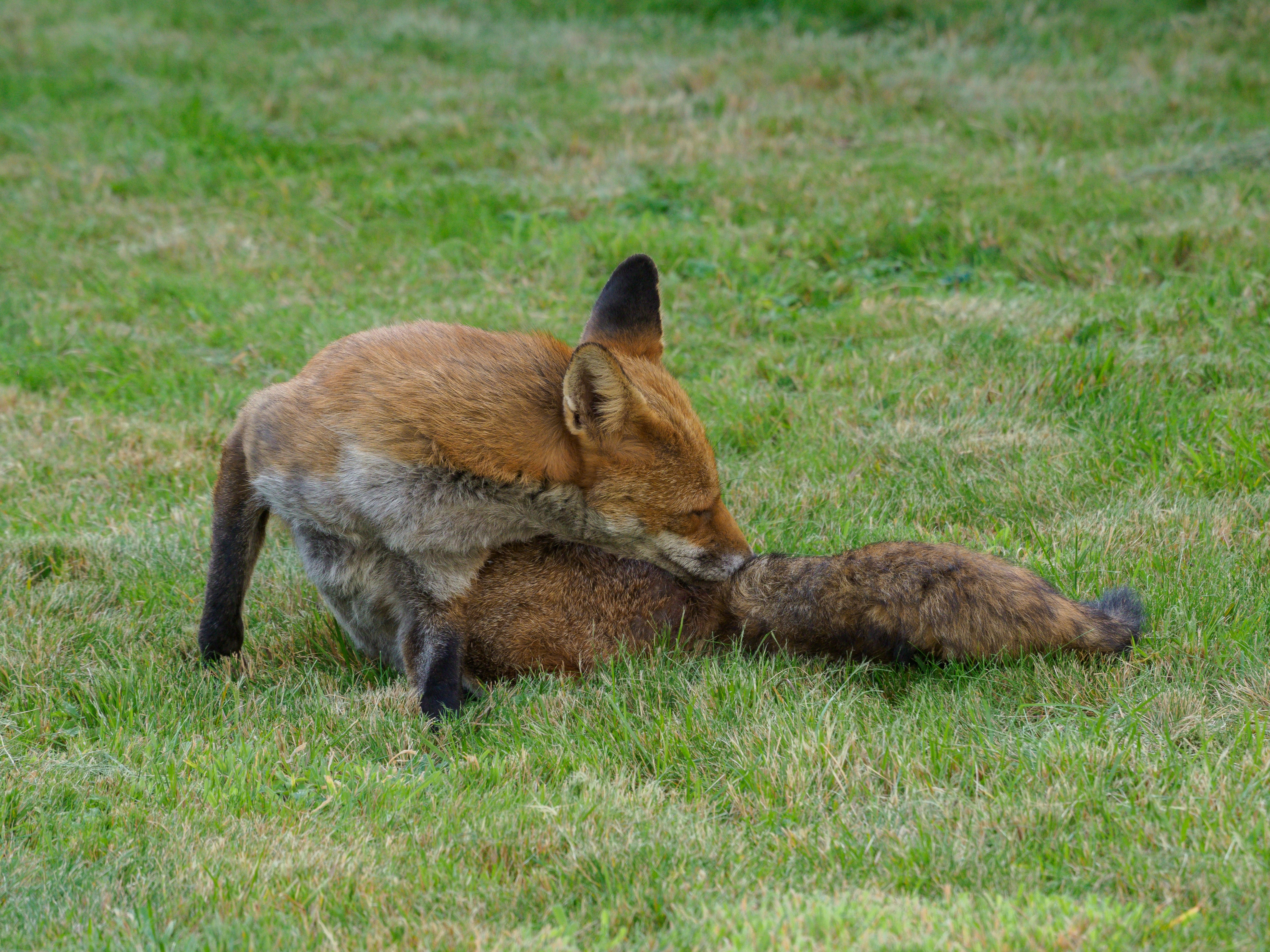 Photo by brett_jordan