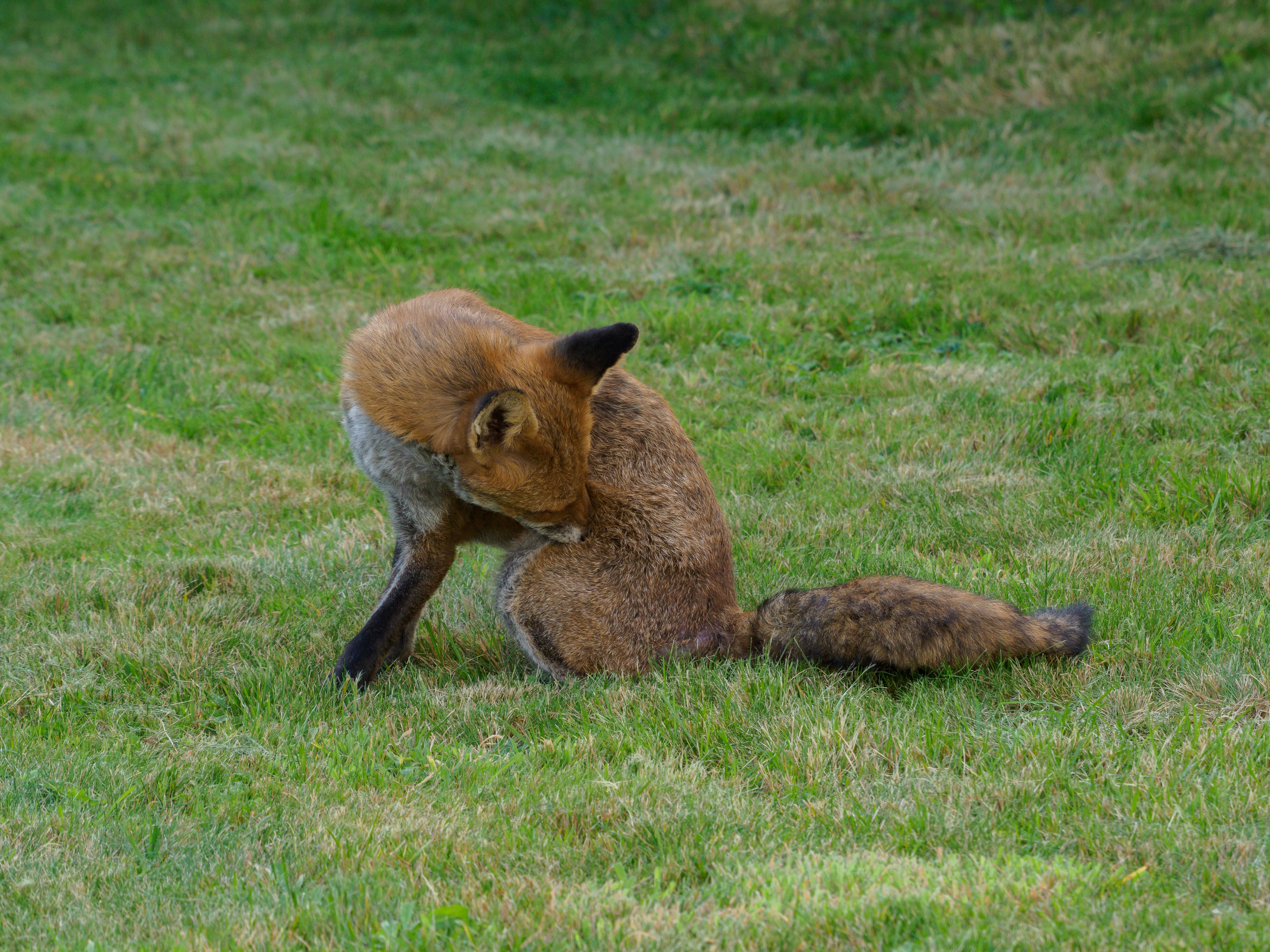 Photo by brett_jordan