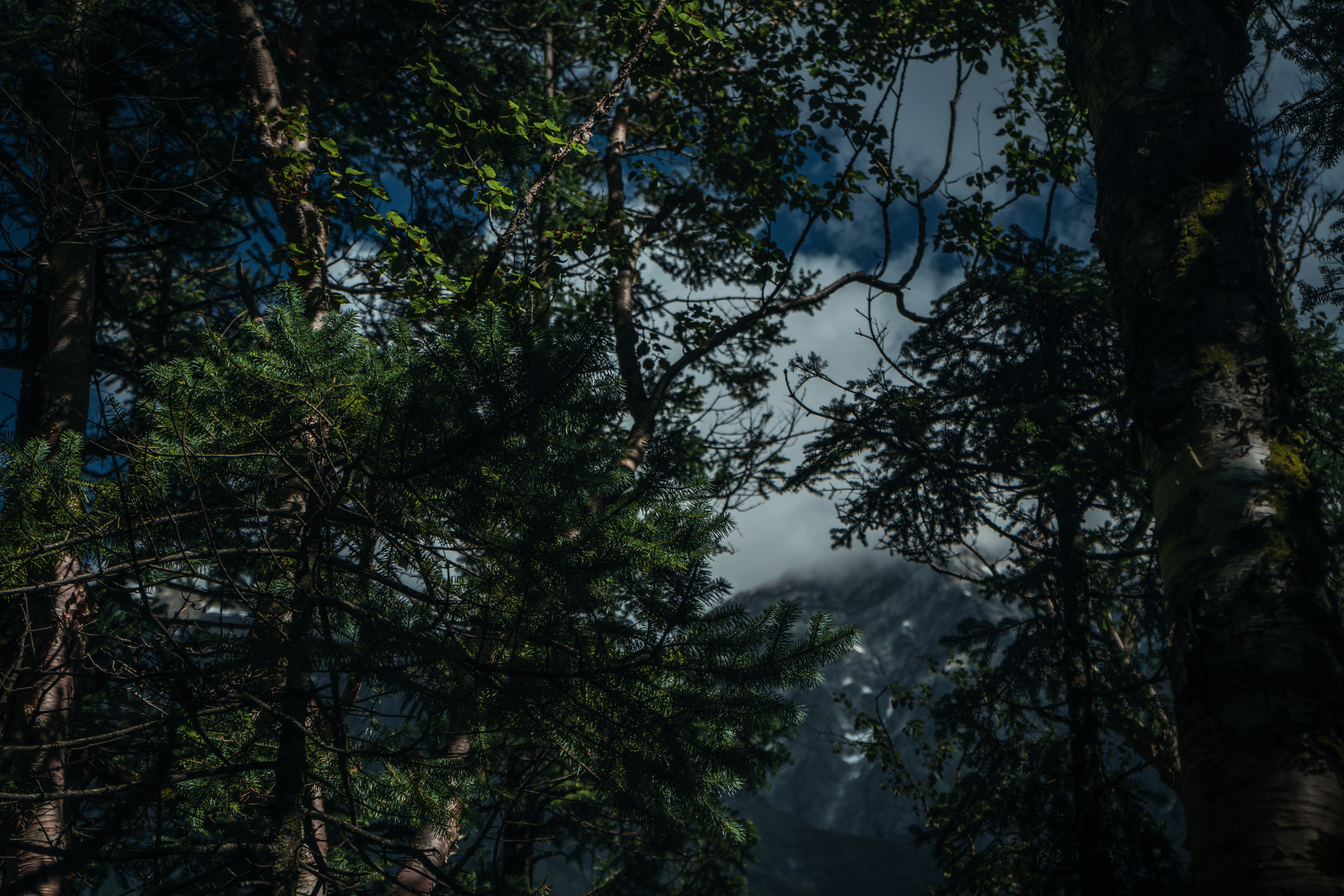 Photo by jayeshjoshi12