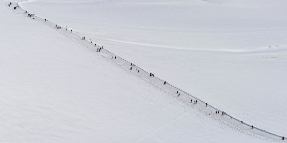 a long line of people walking across a snow covered slope