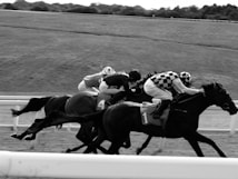 a group of people riding on the backs of horses