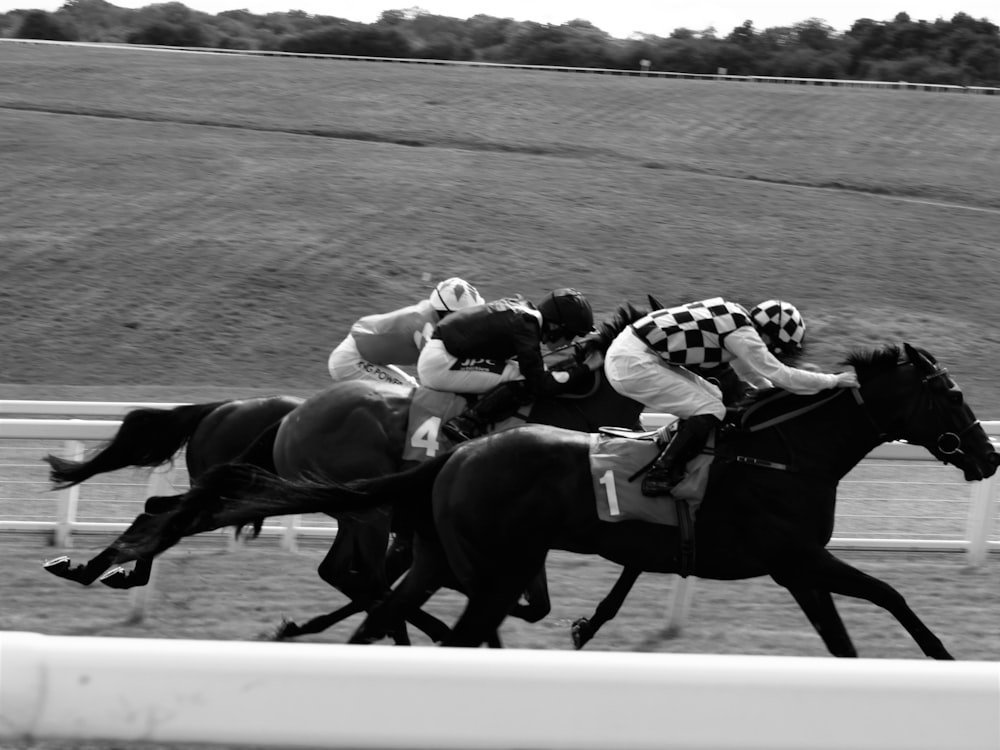 a group of people riding on the backs of horses