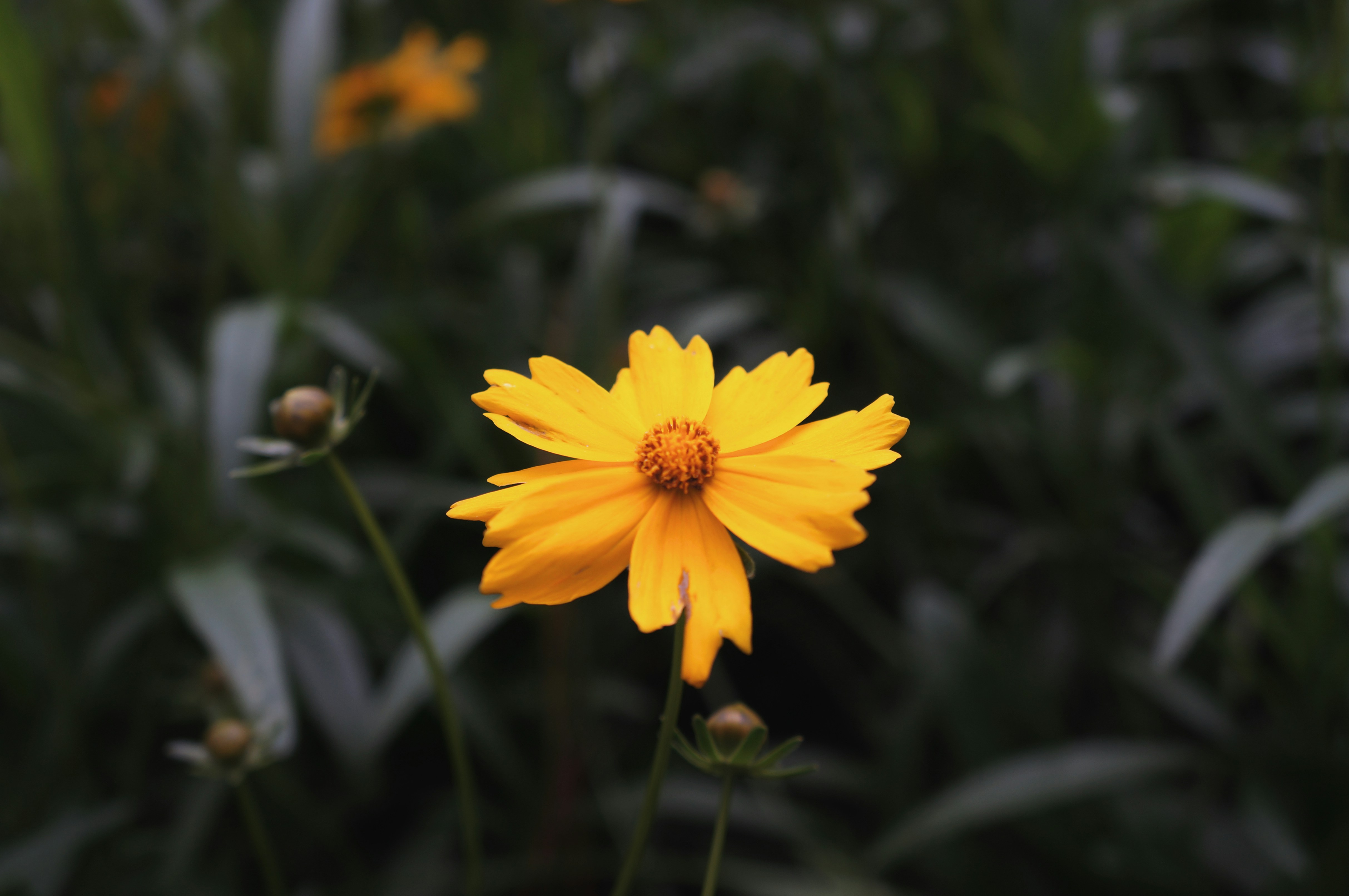 Photo by stefanogiliberti