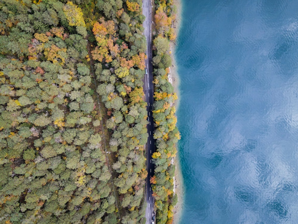 an aerial view of a road running through a forest next to a body of water