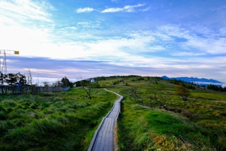 A serene landscape featuring an open path surrounded by trees and gentle hills.