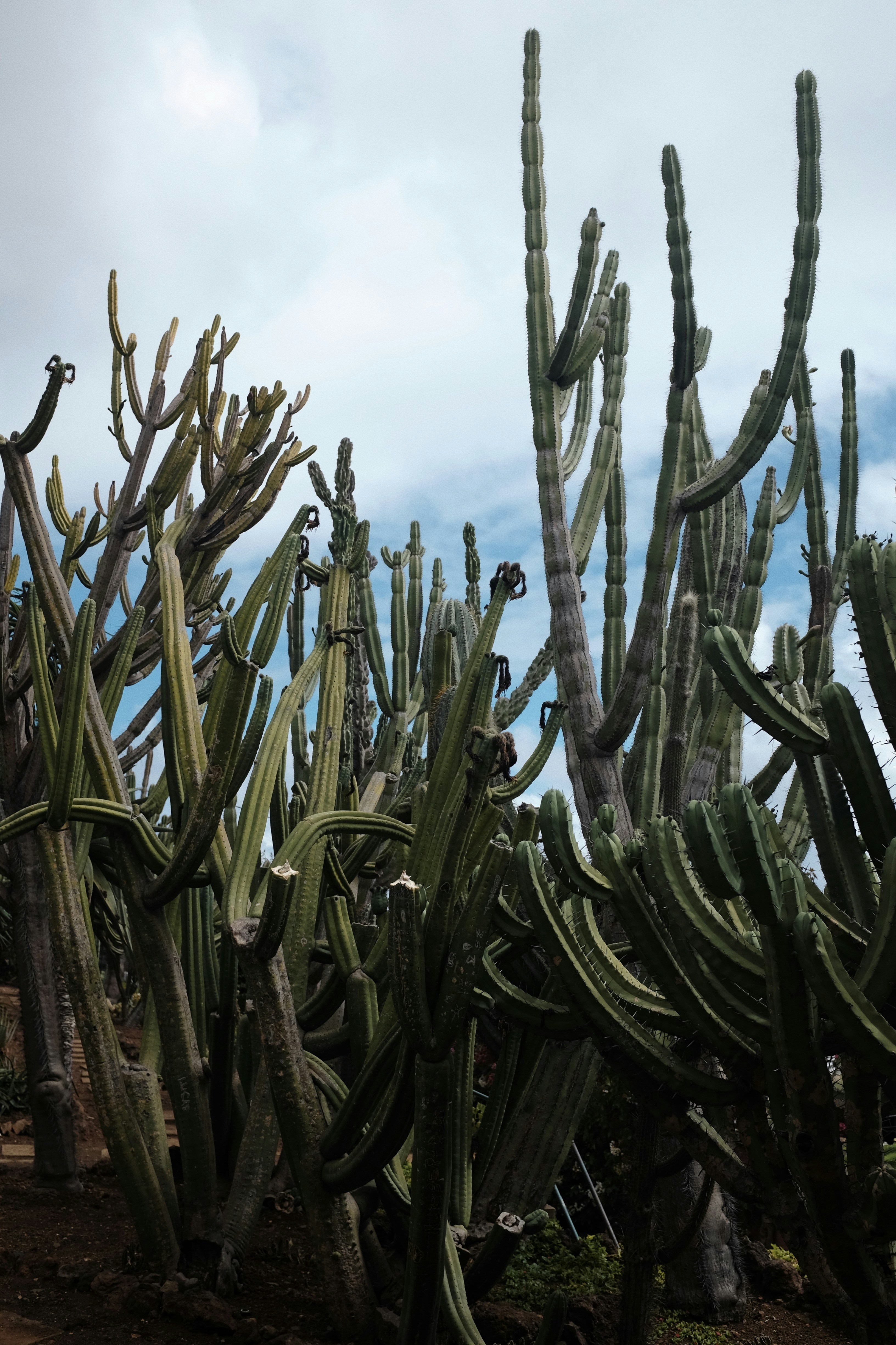 Photo by onegrandtrip