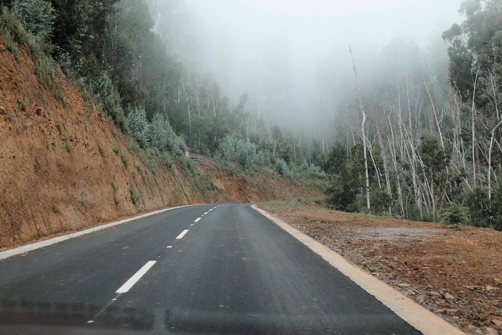 a foggy road in the middle of a forest