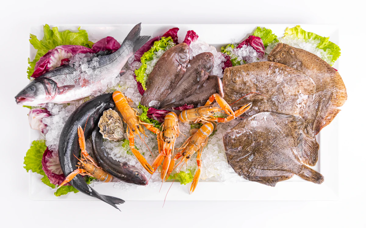 Fresh seafood platter on a white plate