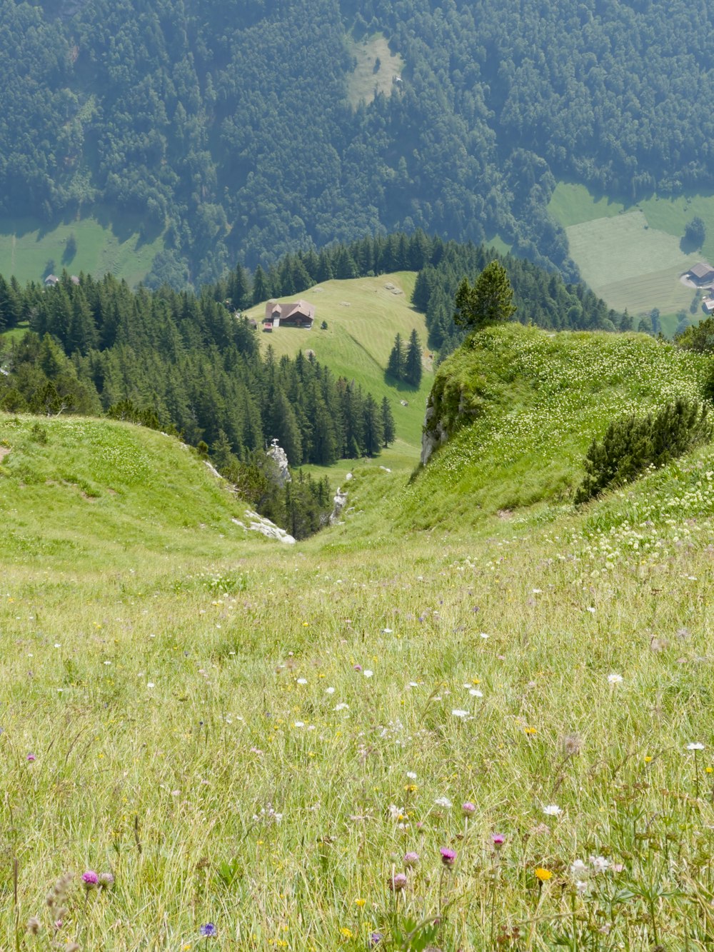 a grassy hill with a valley in the background