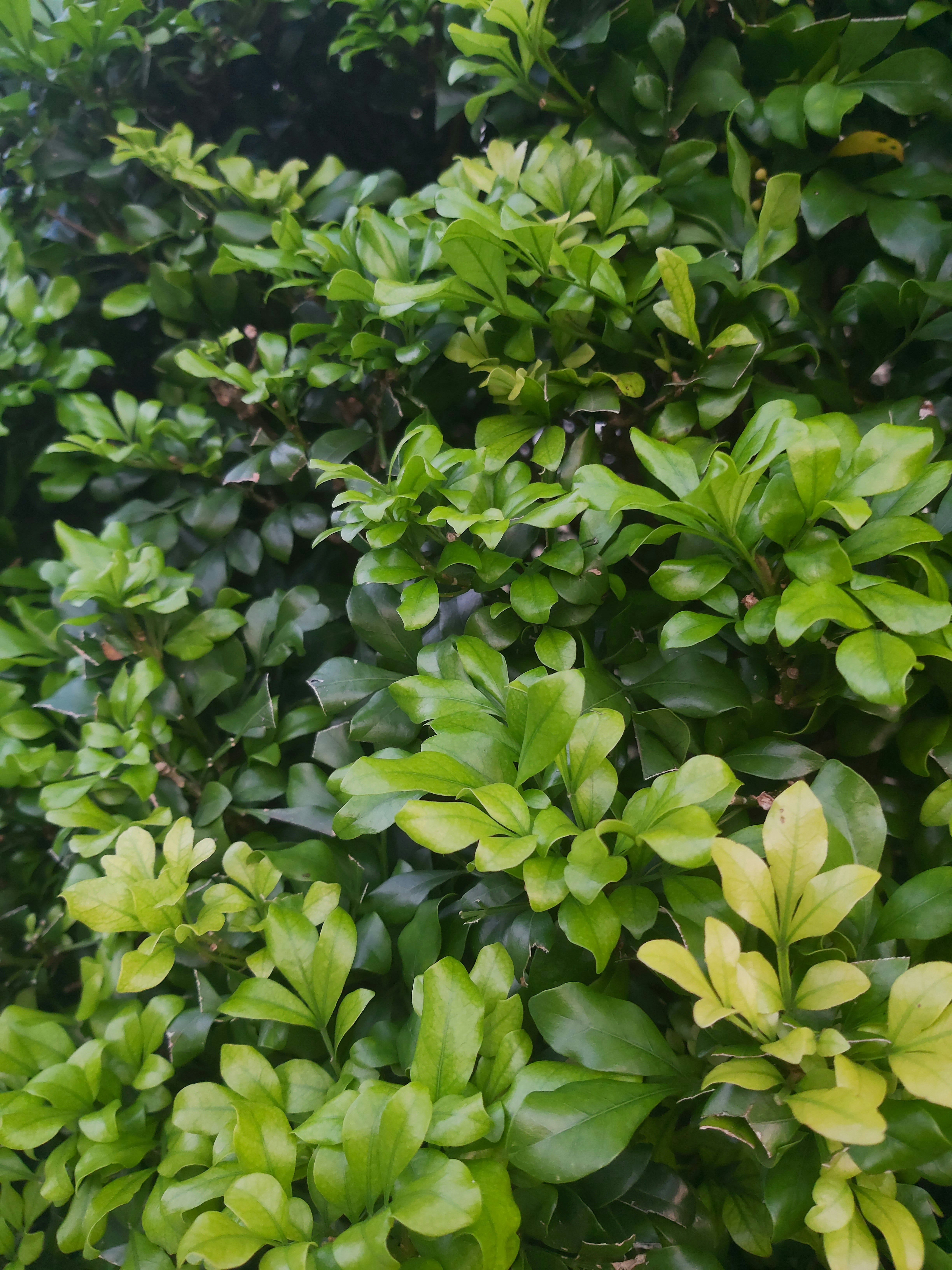 Photo by minkyung441