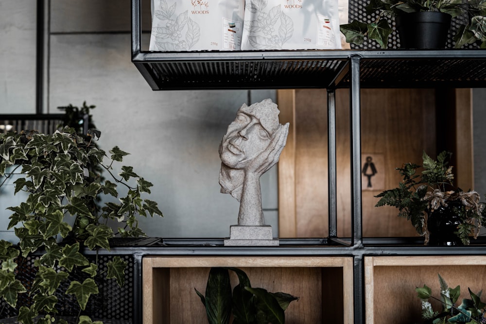 a shelf filled with plants and a statue