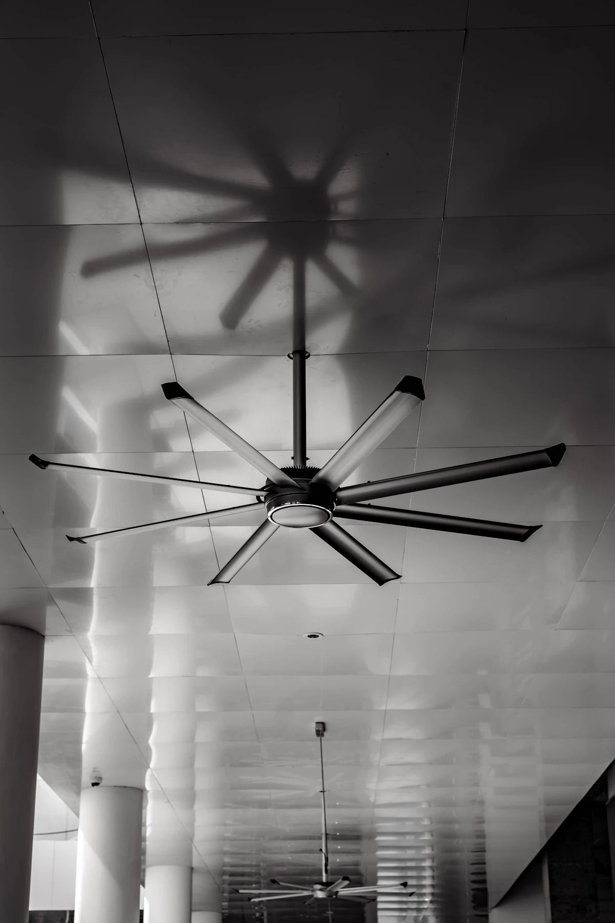 Elegant ceiling fan freshly installed in a bright residential living room in Hamilton
