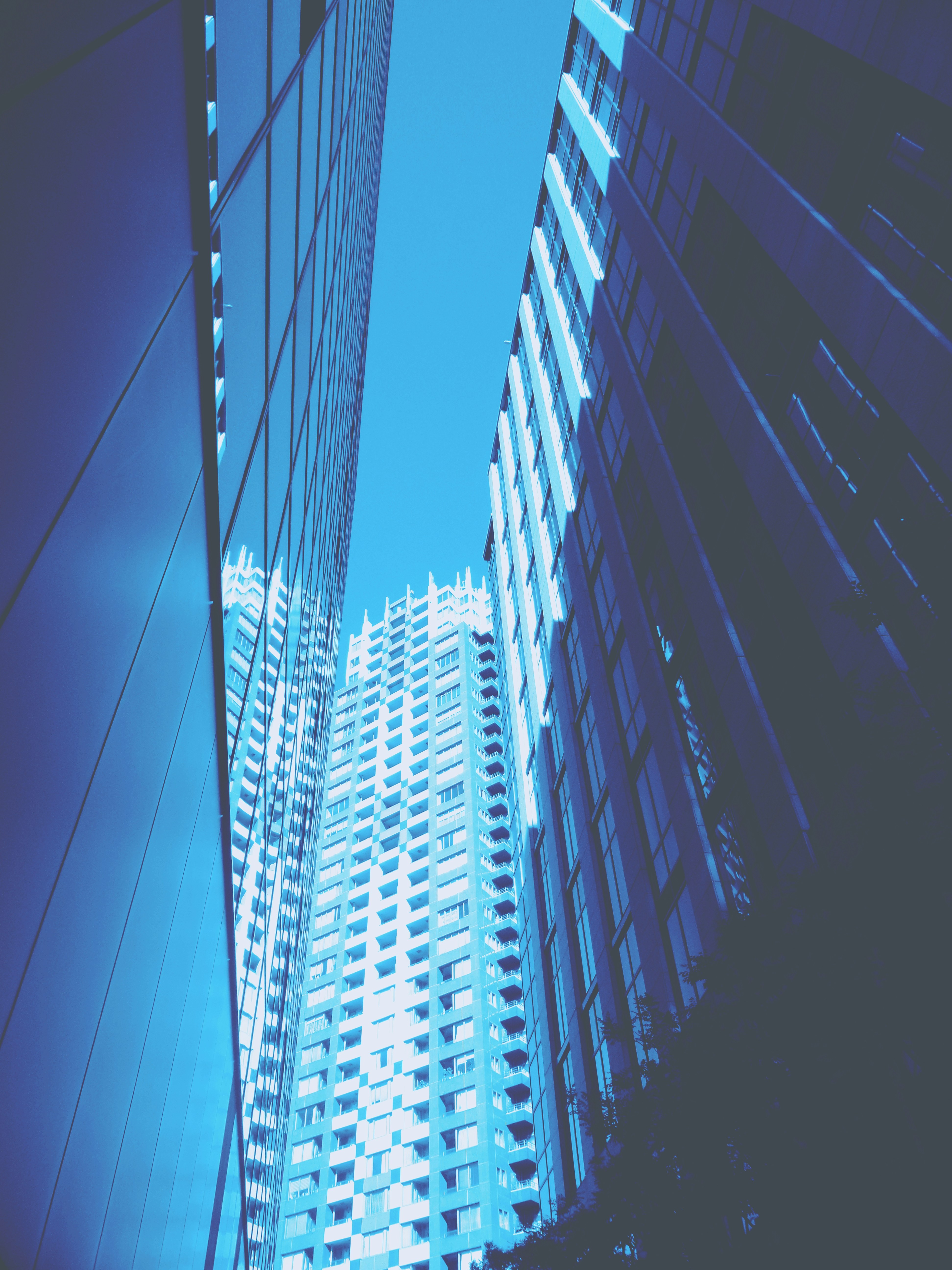 Photo by possessedphotography