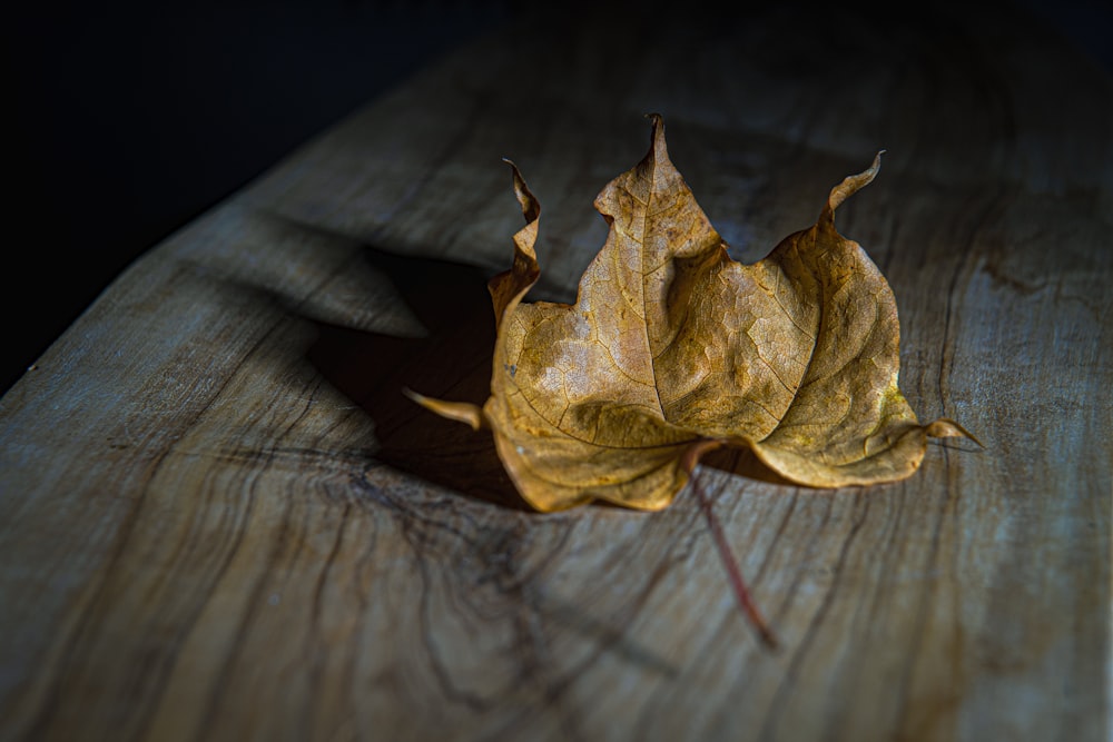 a leaf that is laying on a wooden table