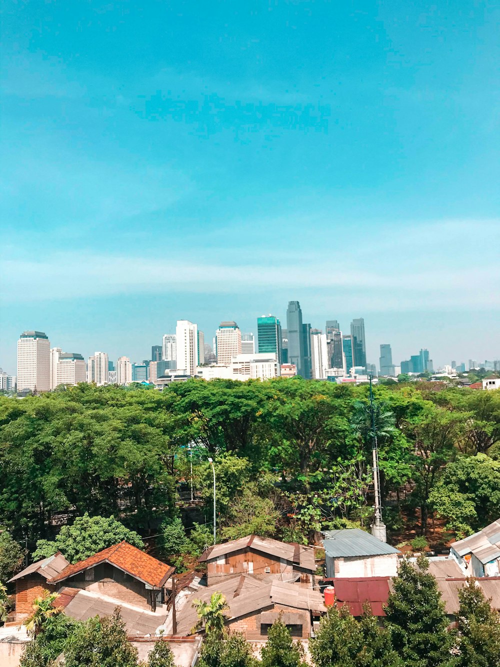 a view of a city skyline from a hill