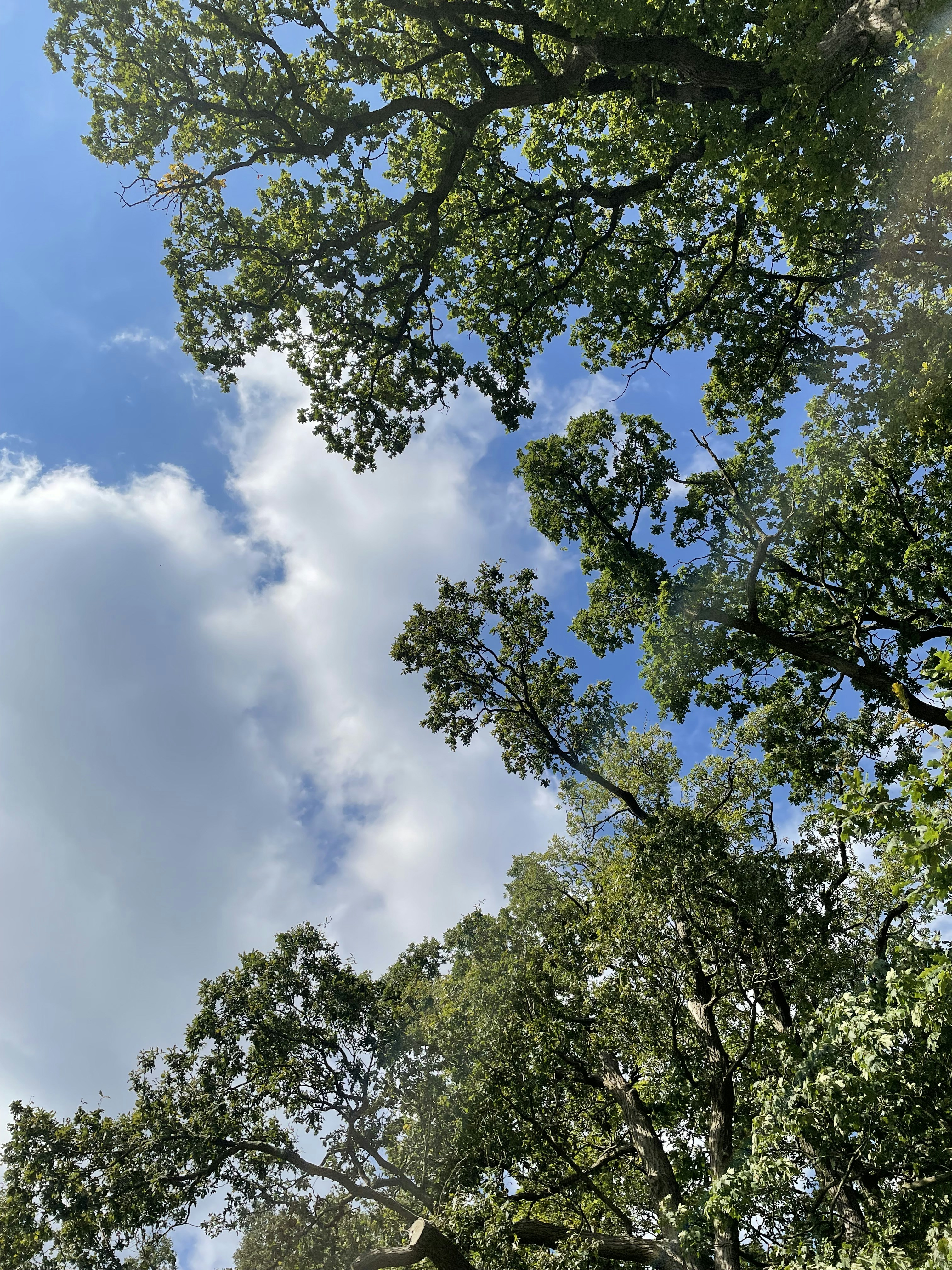 Photo by michaelaser