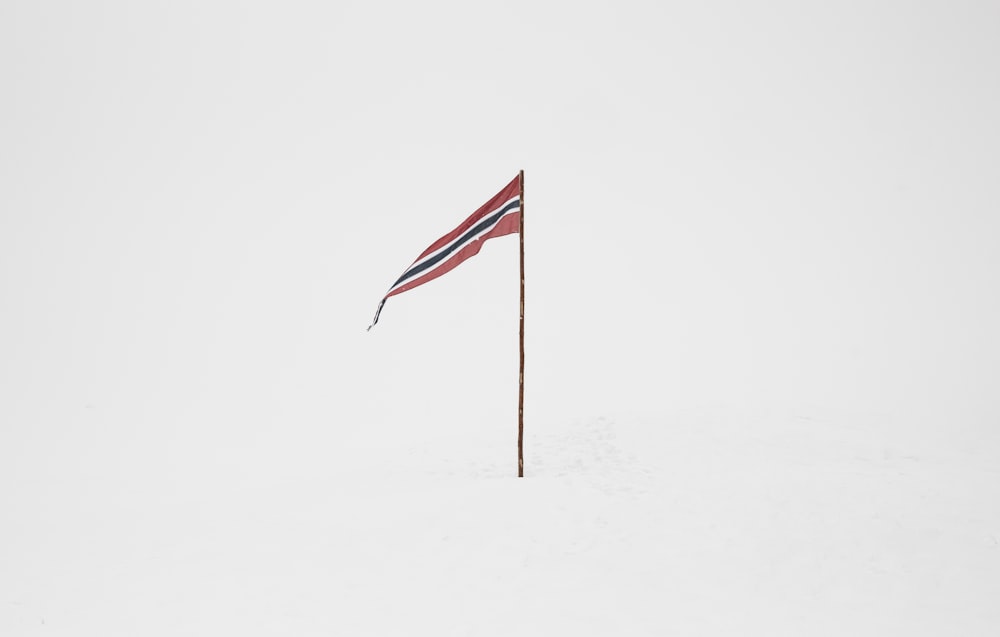 a flag is sticking out of the snow