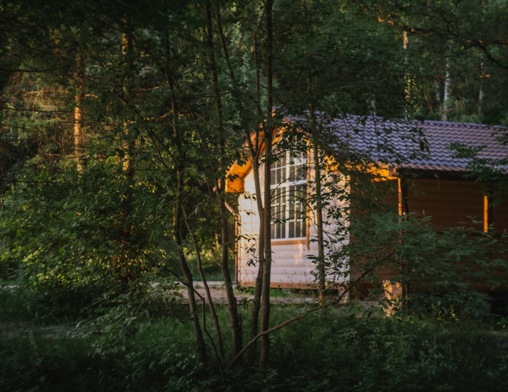 a small cabin nestled in the woods