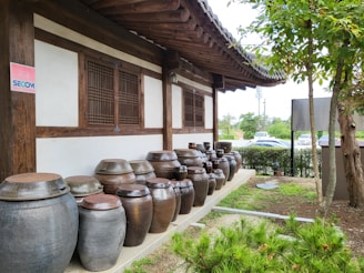 A row of traditional Korean earthenware jars, known as onggi, is aligned against the wall of a traditional building with a wooden roof and windows. The setting includes some greenery with small trees and grass, and there are cars visible in the background.