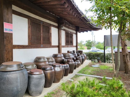 A row of traditional Korean earthenware jars, known as onggi, is aligned against the wall of a traditional building with a wooden roof and windows. The setting includes some greenery with small trees and grass, and there are cars visible in the background.