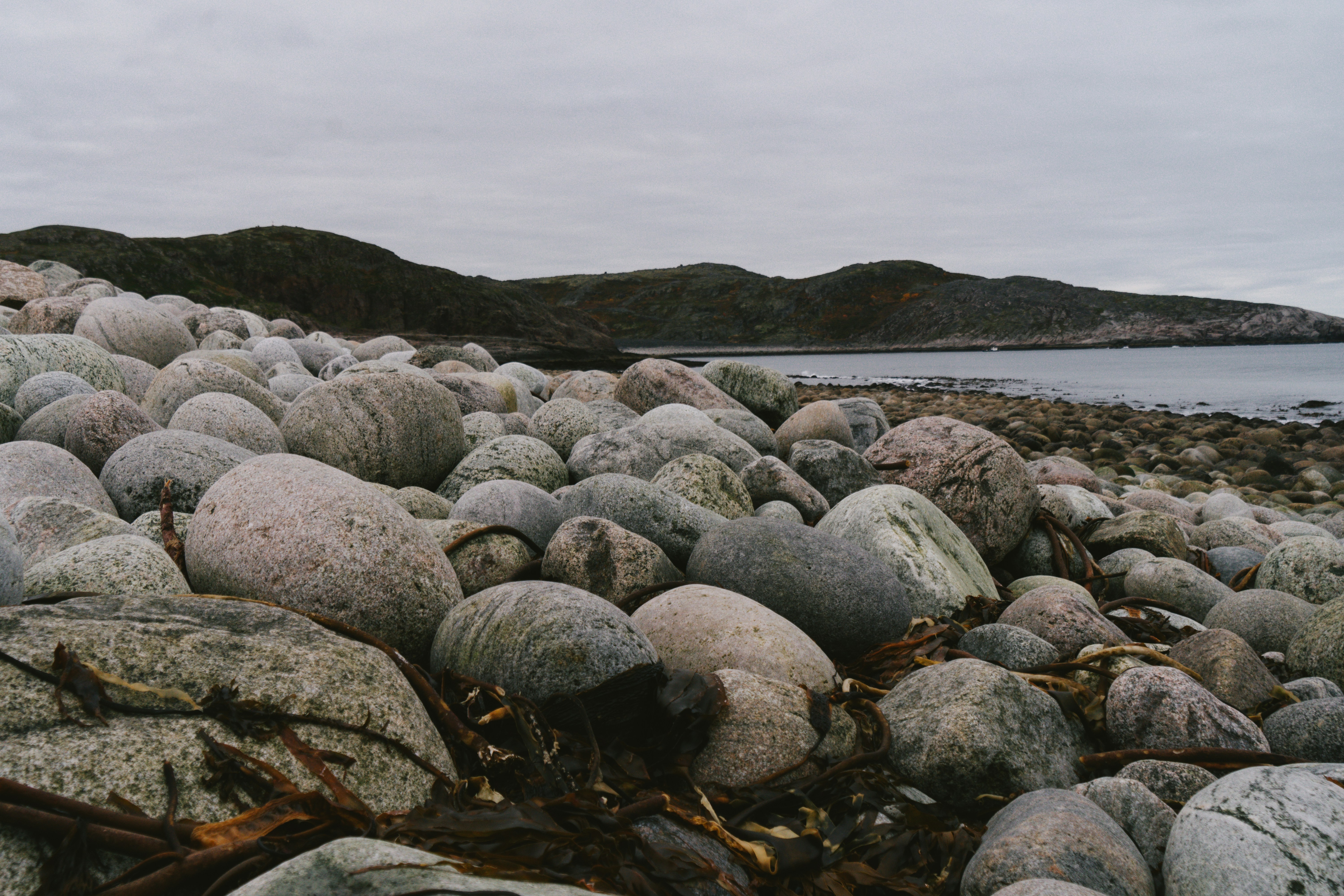 Photo by alexanderklimm